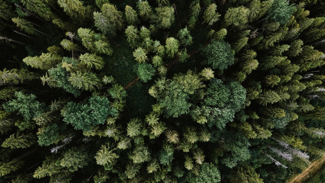Palatine portfolio becomes carbon literate