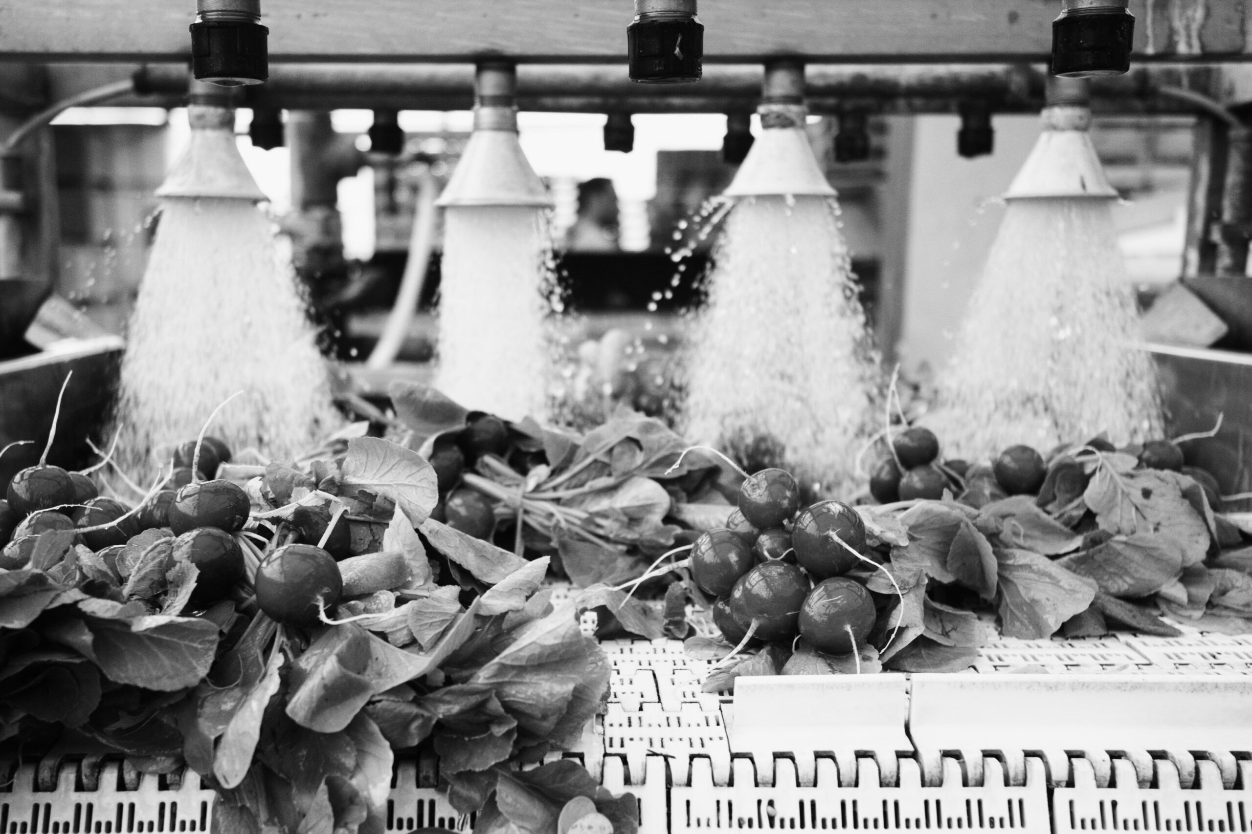 Anthesis Group acquires Canadian Agri-food sustainability consultancy