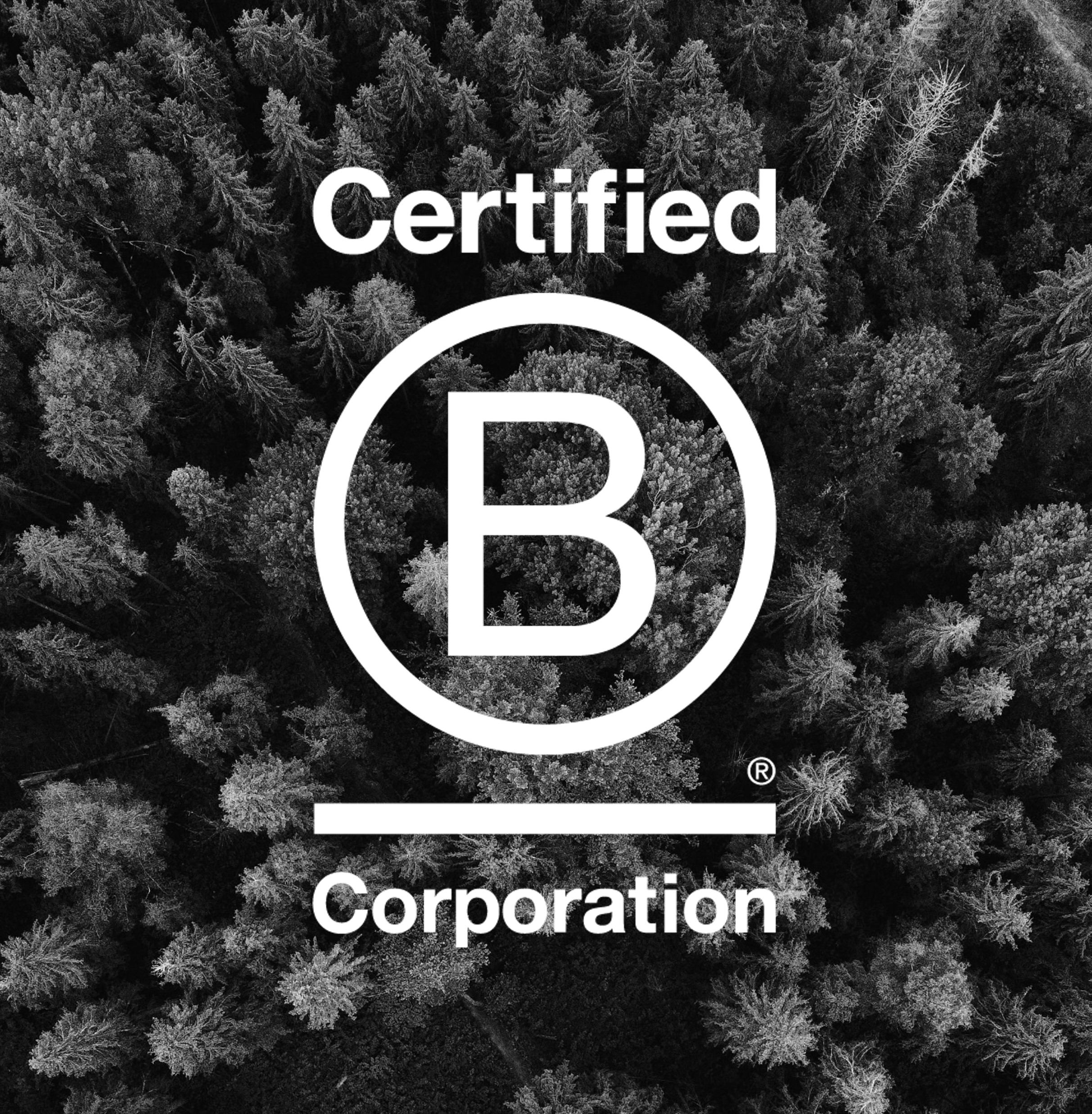 B Corp Q + A