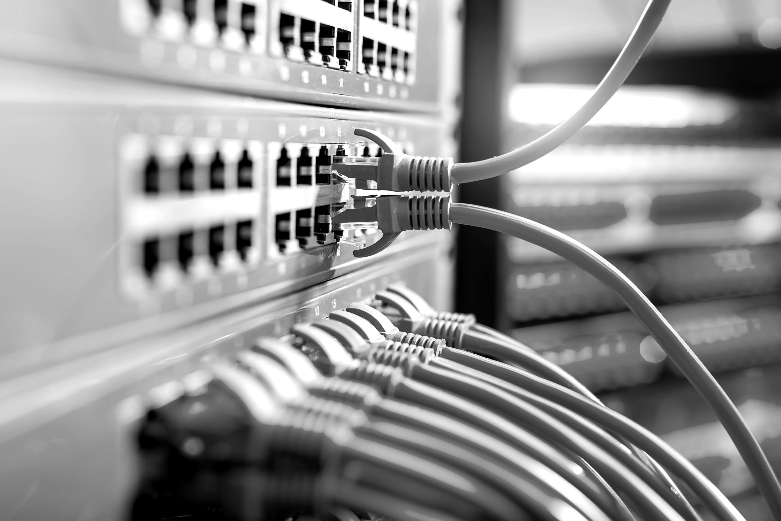 Case Study: XLN