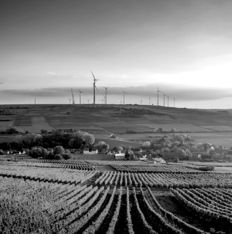 Palatine’s Decarbonisation Target Receives International Validation
