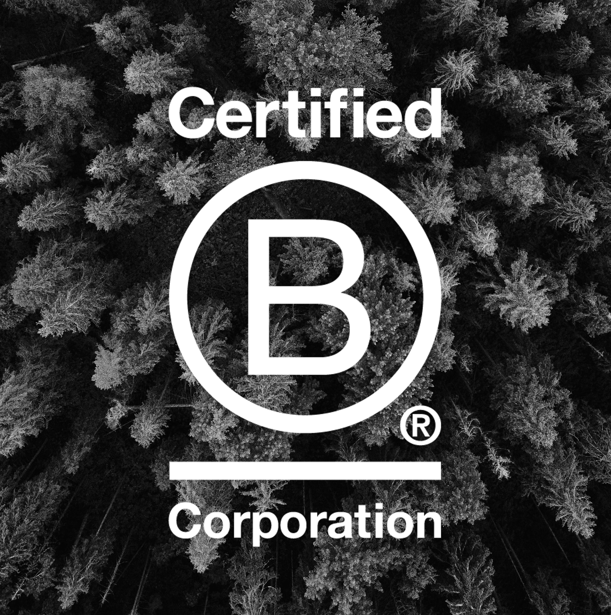 How we boosted our B Corp score